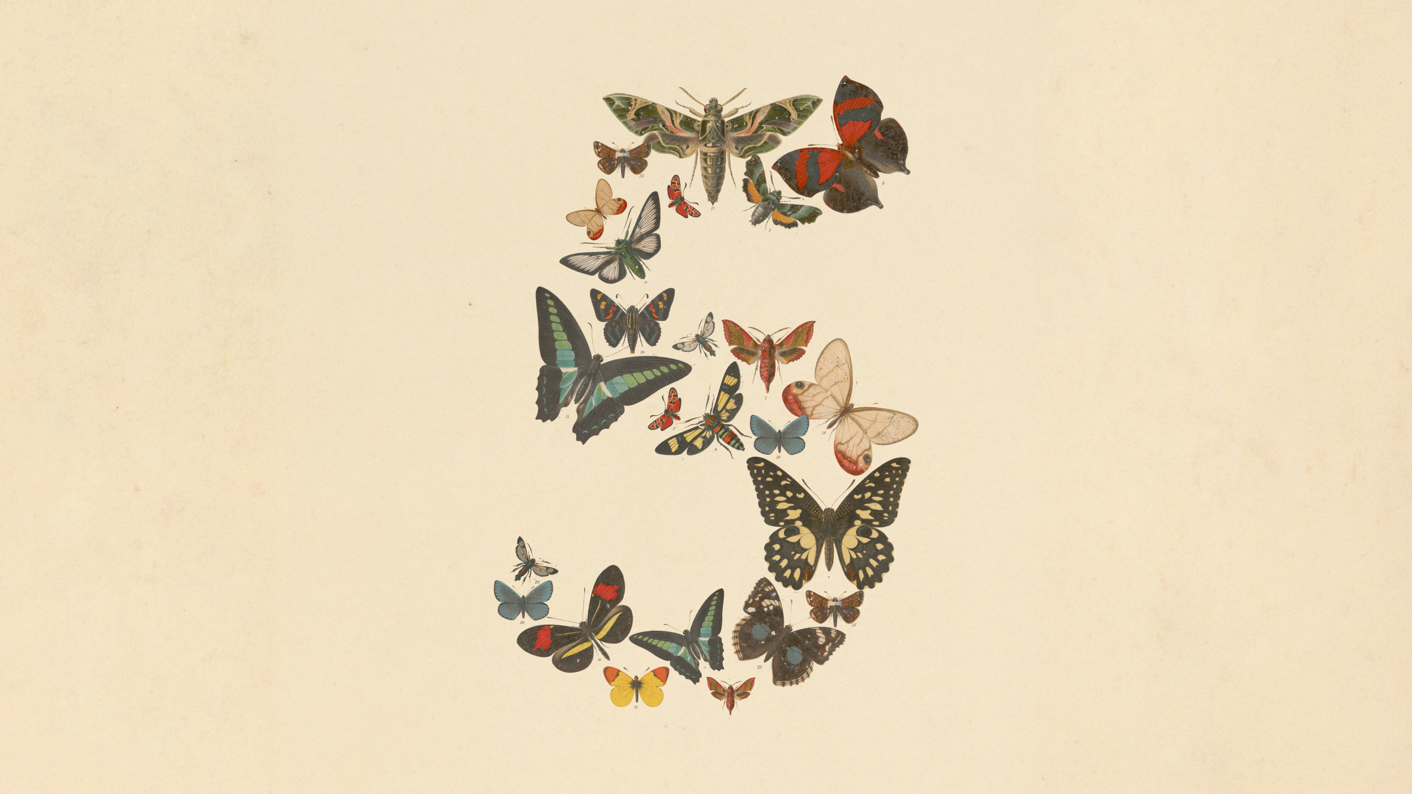 Anthropic 发布 Claude Fable 5 和 Mythos 5，前沿能力与安全限制并行封面