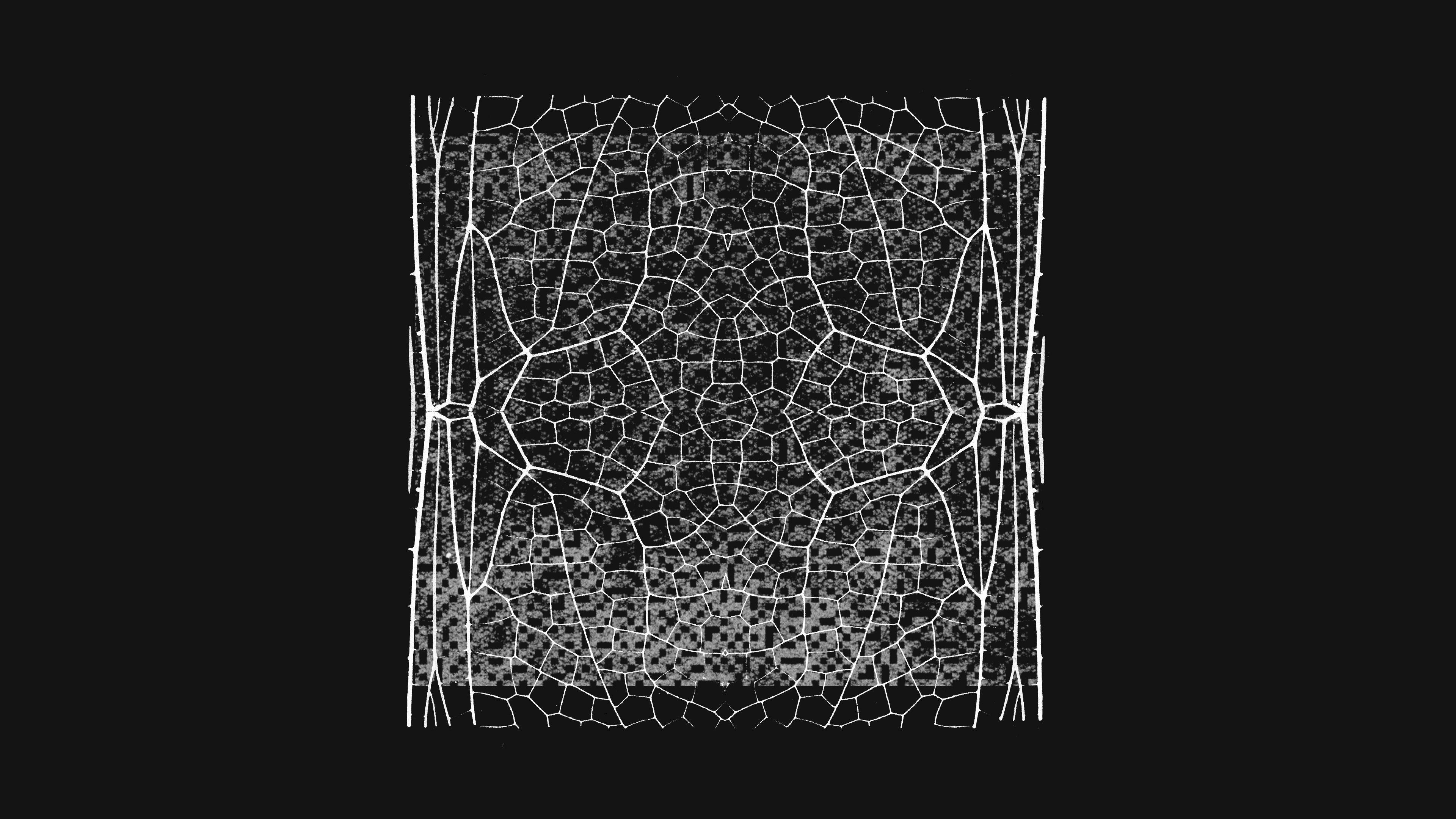 Anthropic 扩大 Project Glasswing，AI 安全合作进入更多组织封面